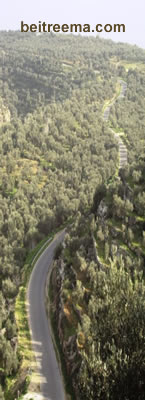 ���� ��� ����