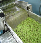 ��� �������